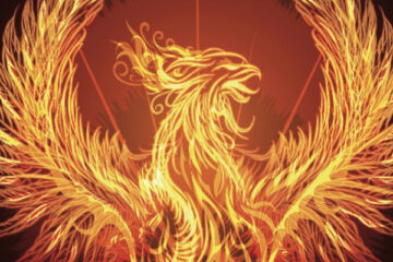Homöopathie Baumeister Phoenix Feuer Transformation
