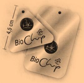 Magnetstreifen Bio-Chip