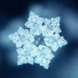Emoto Wasserkristalle