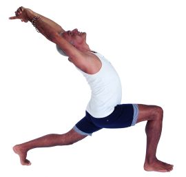 Sivasakti-Yoga
