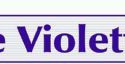 spirituelle Politik die violetten